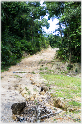 The track to the khu Tu Phu in a bad state of repair.