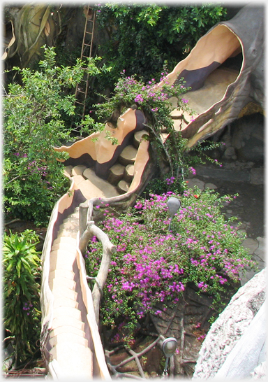 Overhead walkway surrounded by borganvillia shrubs.