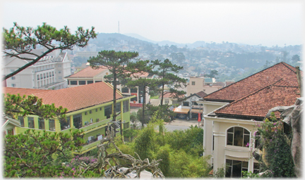 View of houses and the wooded town.