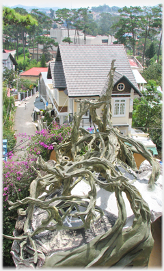 Concrete roots and the lane and houses beyond.