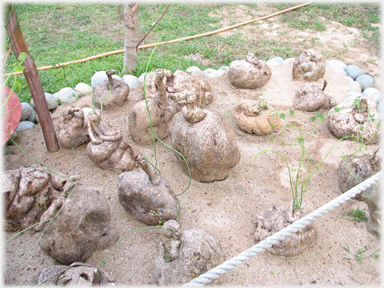 Sand-bed with a score of stone plants.