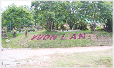 Pagoda's name Vuon Lan shown on a bank by purple plants.