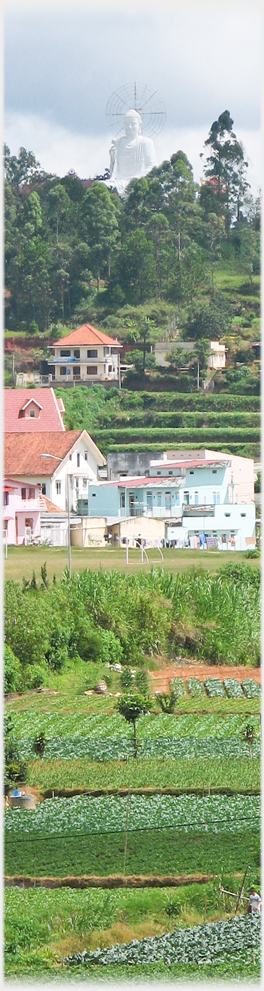 Buddha over trees on high ground with houses and fields below.