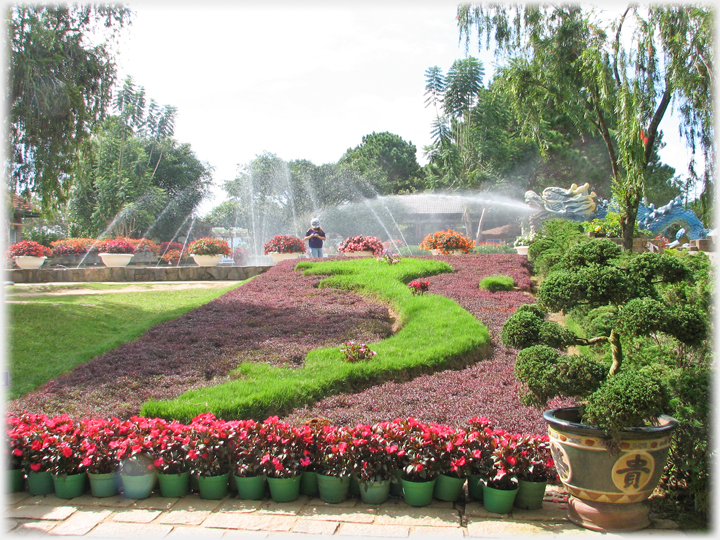 Grass-like plant surrounded by sea of  purple plants in the shape of Vietnam.