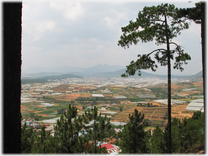View across the Da Lat countryside covered in glass and plastic.