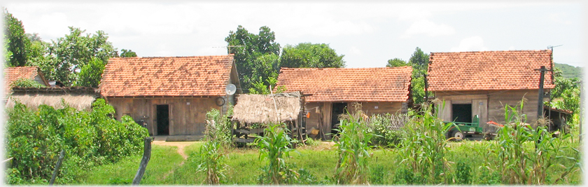 Row of modern small houses.