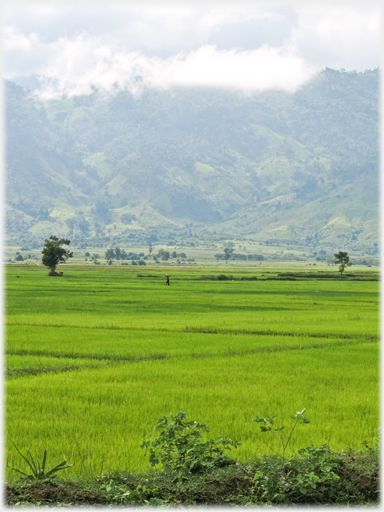 Fields stretching out to the mountain foot.