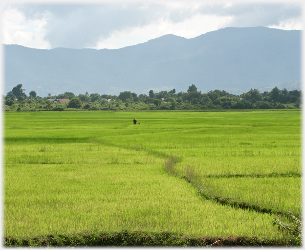 Paddy running to trees and a village, mountains behind, and a small figure.