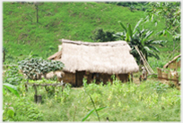 Small thatched house in the country.