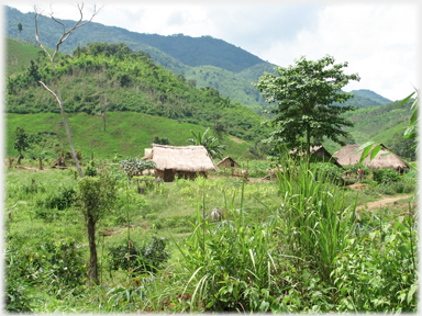 Thatched houses in scrubland.