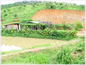 Scraped hillside with shed, pond and house roof.