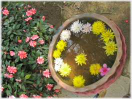 Pot with flower heads floating in it.