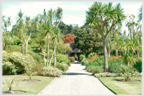 Central walkway in the Logan Botanic Gardens.