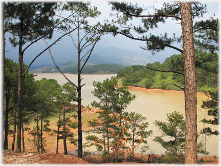 A view between pine trees of Da thien Lake looking north.