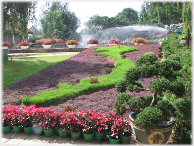 Bed planted with the shape of Vietnam.