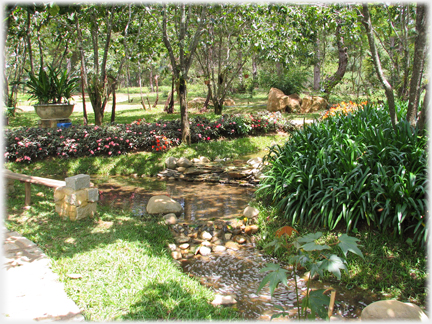 Stream bed of stones with trees and shrubs.