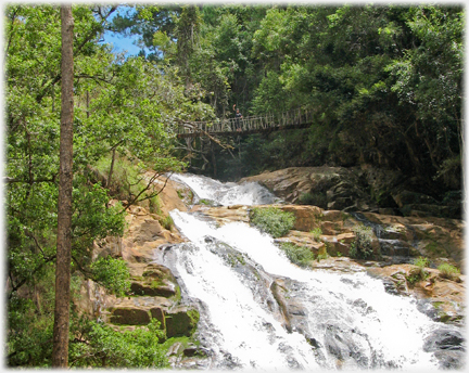 Tiger falls with the bridge crossing above them.