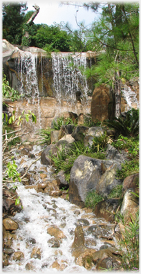 Falls and the stream below them.