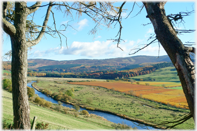 Tweed and Dawyck Estate.