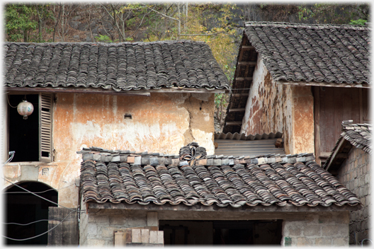 Rooftops of houses by the market.