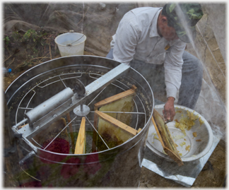 Honey centrifuge.