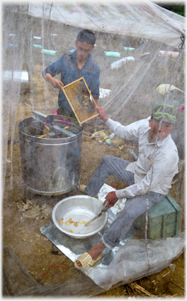 Tent for processing honey