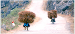 Bales appear as people.