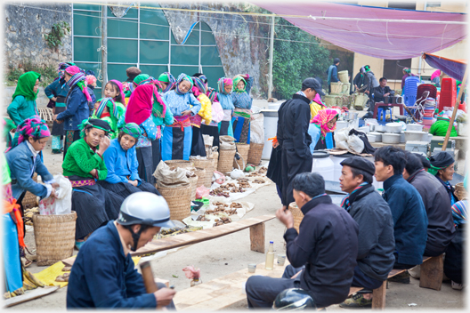 Row of sellers and row of drinkers.