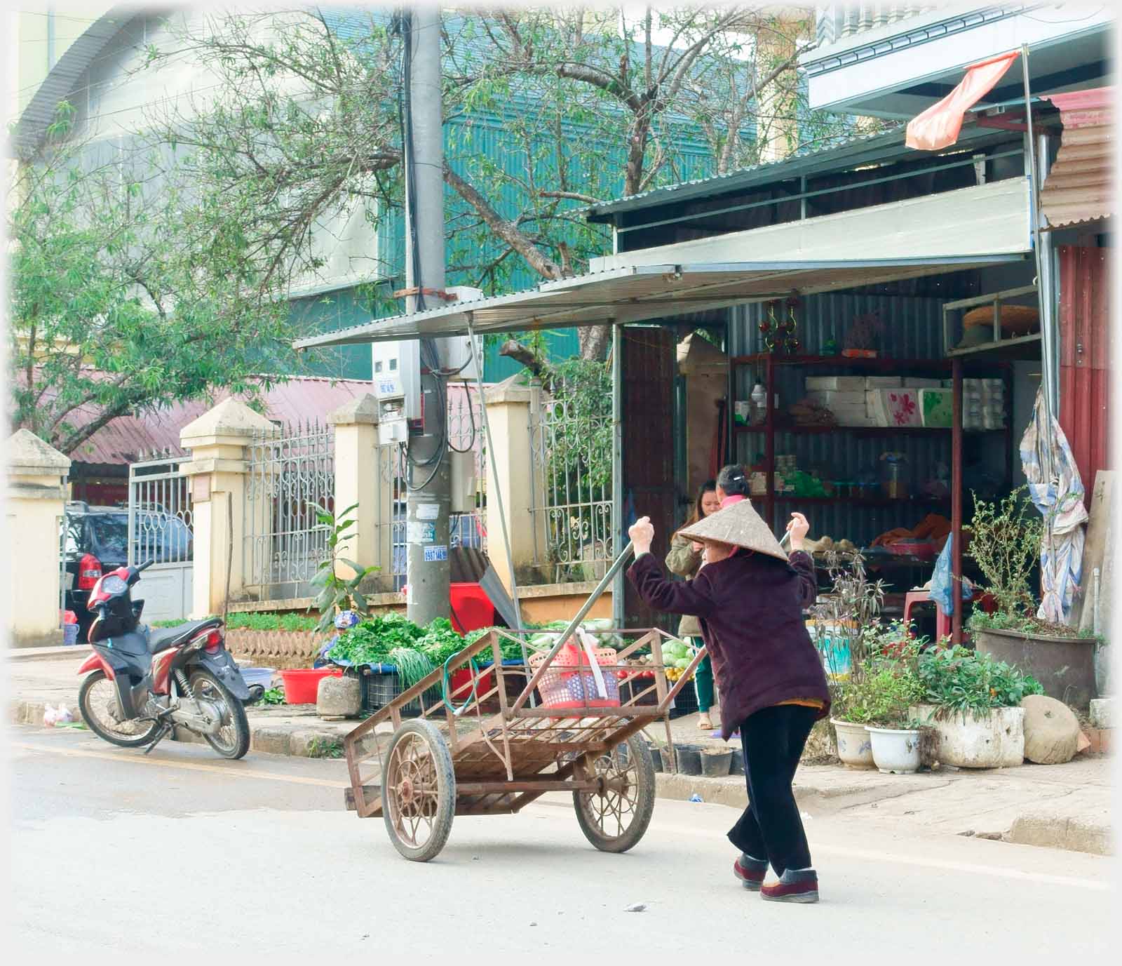 Woman pushing handcart passed vegetable shop.