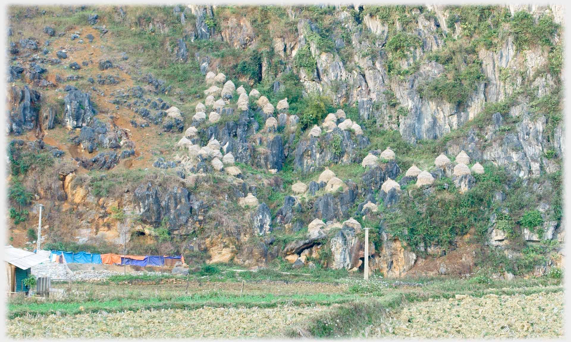 Very steep hillside with many tent-like haystacks on precipitous ledges.