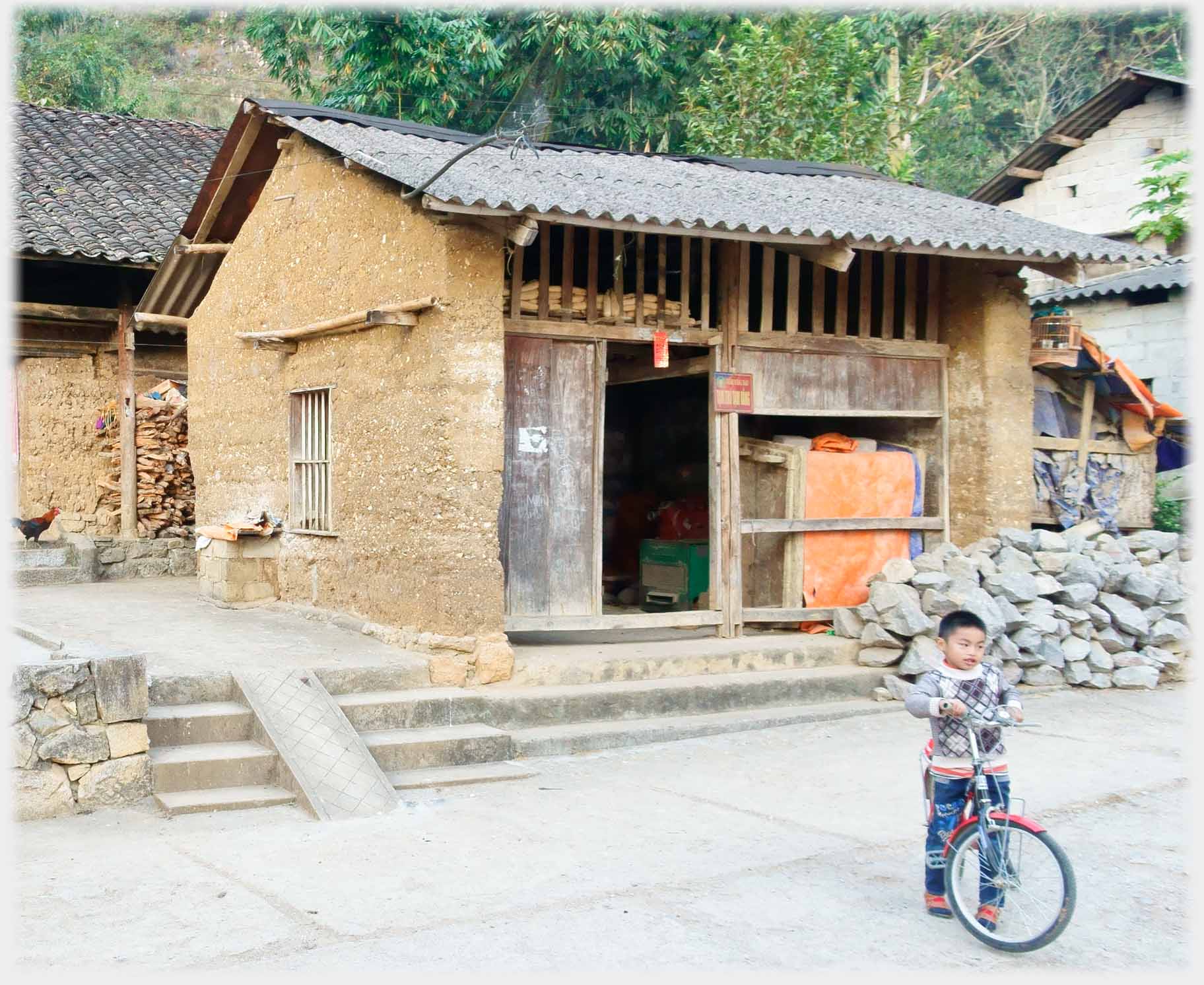 Small boy with bike standing in front of house, steps behind him with central ramp.