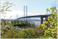 The Forth road bridge.