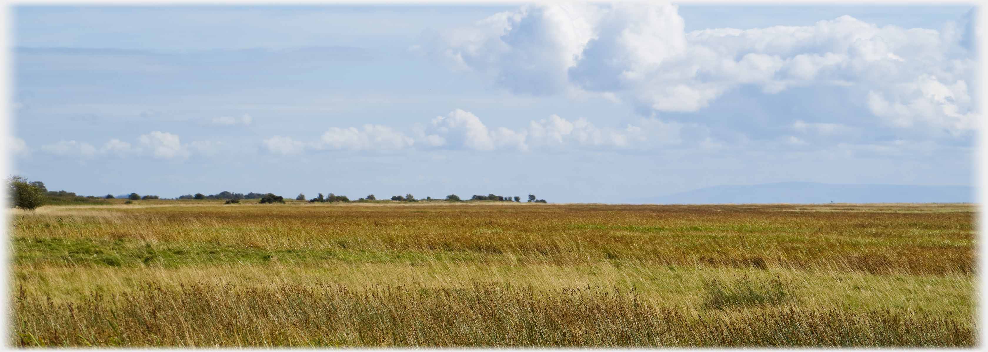 Flat ground with distant line of trees and very distant hills.
