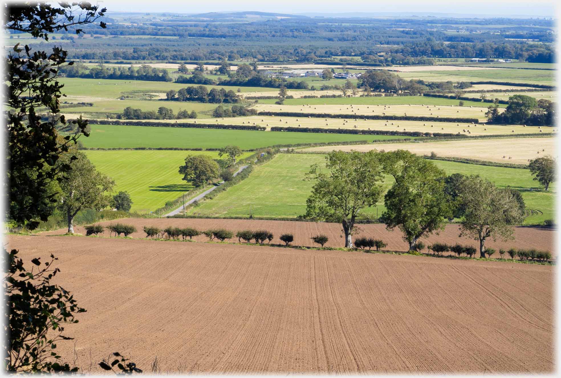 Looking down on patchwork of fields.