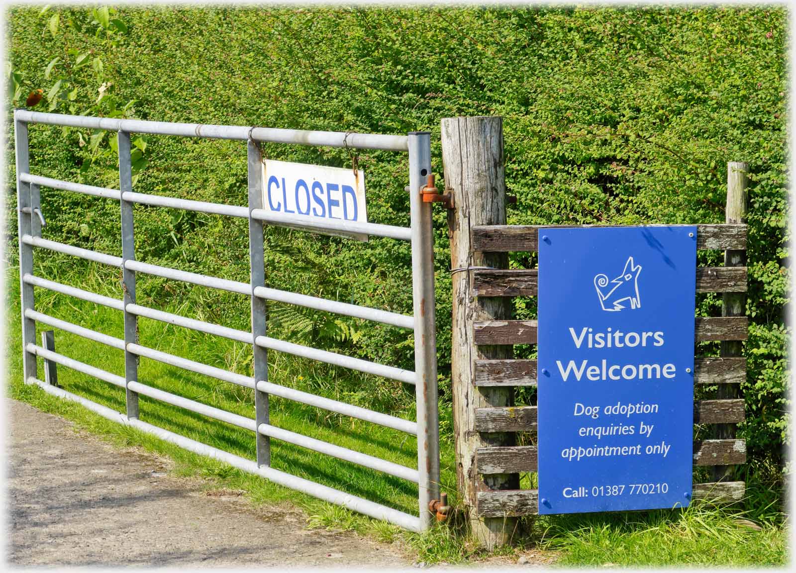 Visitors welcome sign next to a closed sign.