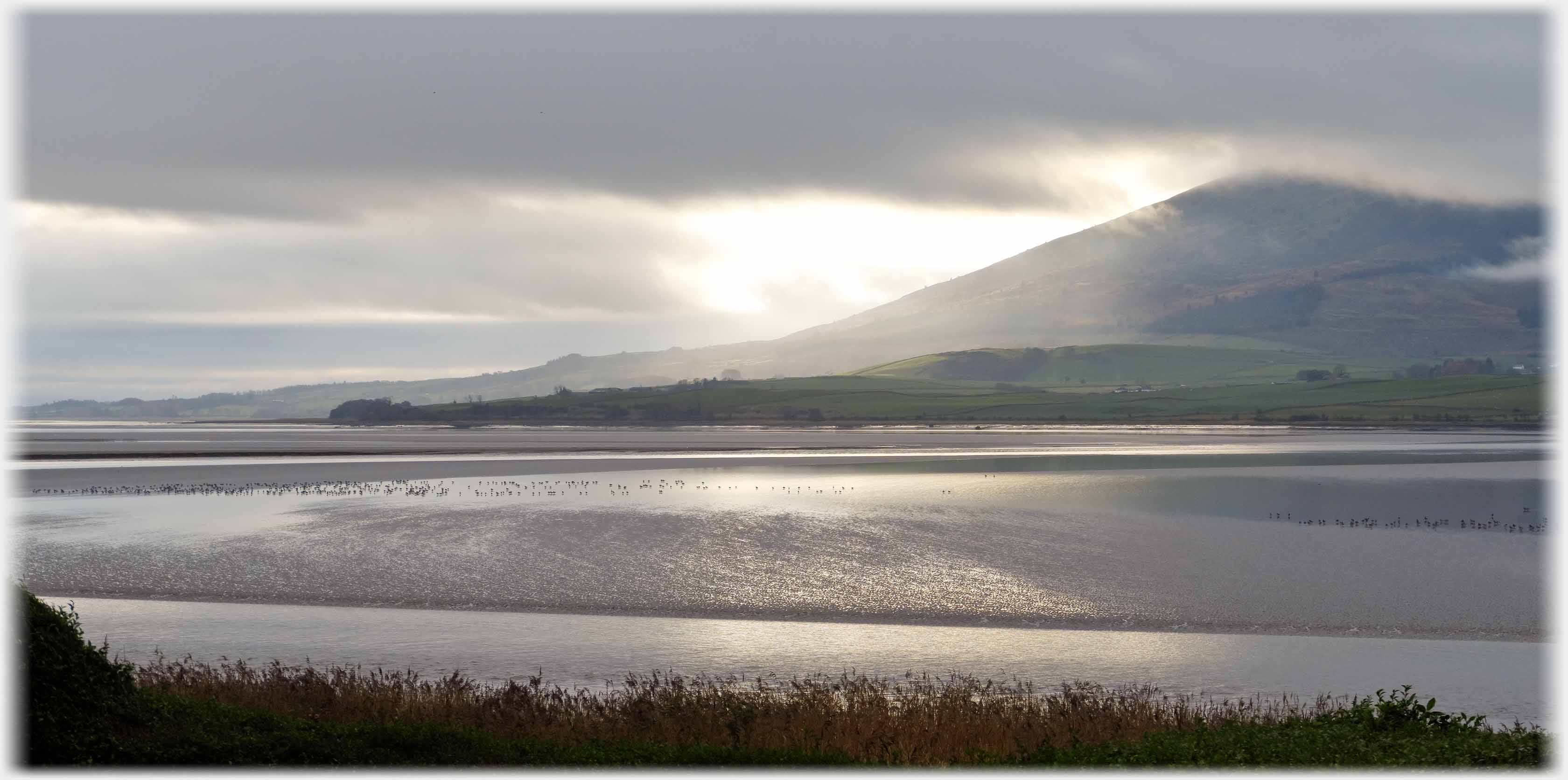 Dark cloud over mud flats light by hill.