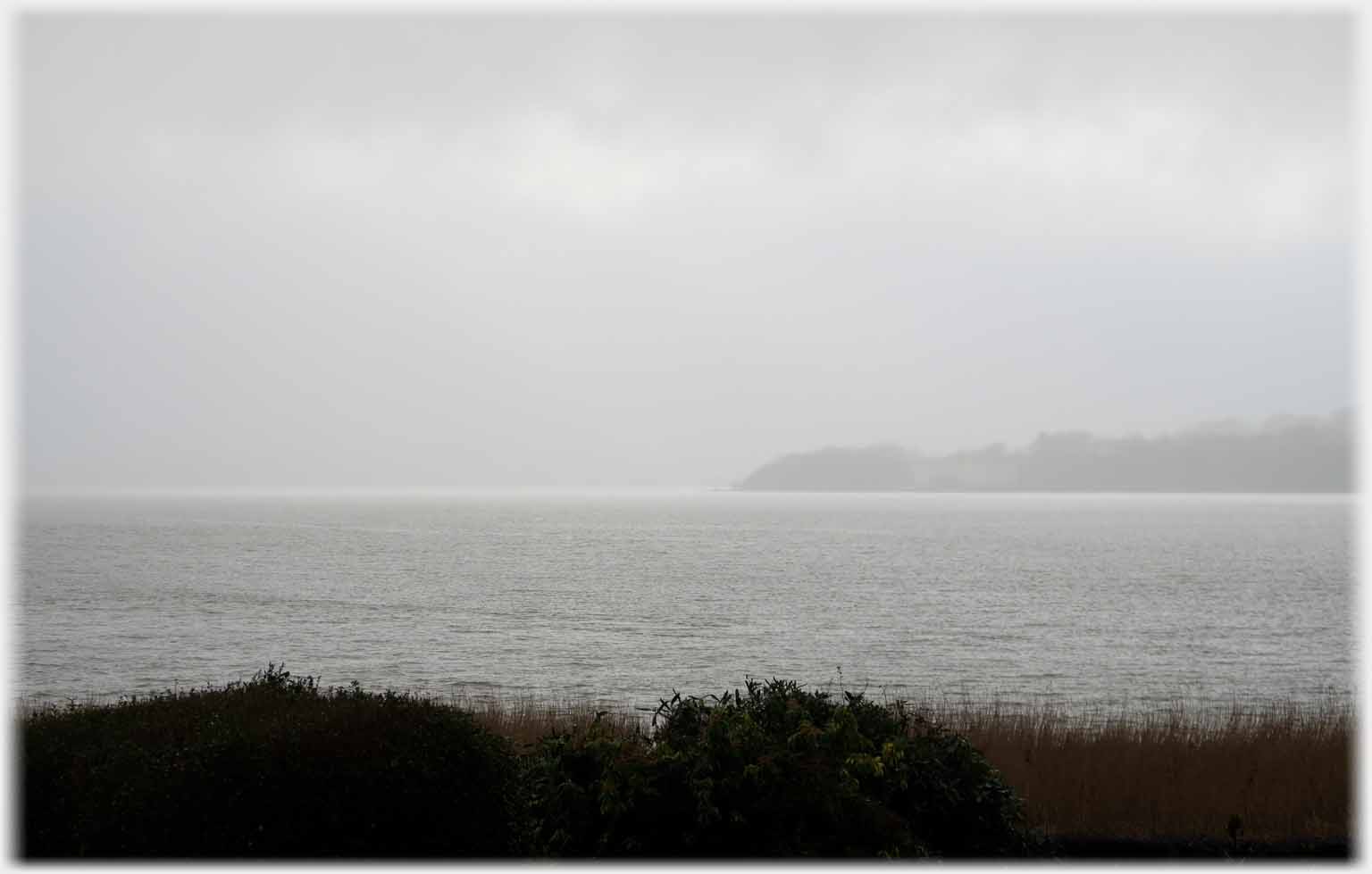 Rain across water, making far shore indistinct.