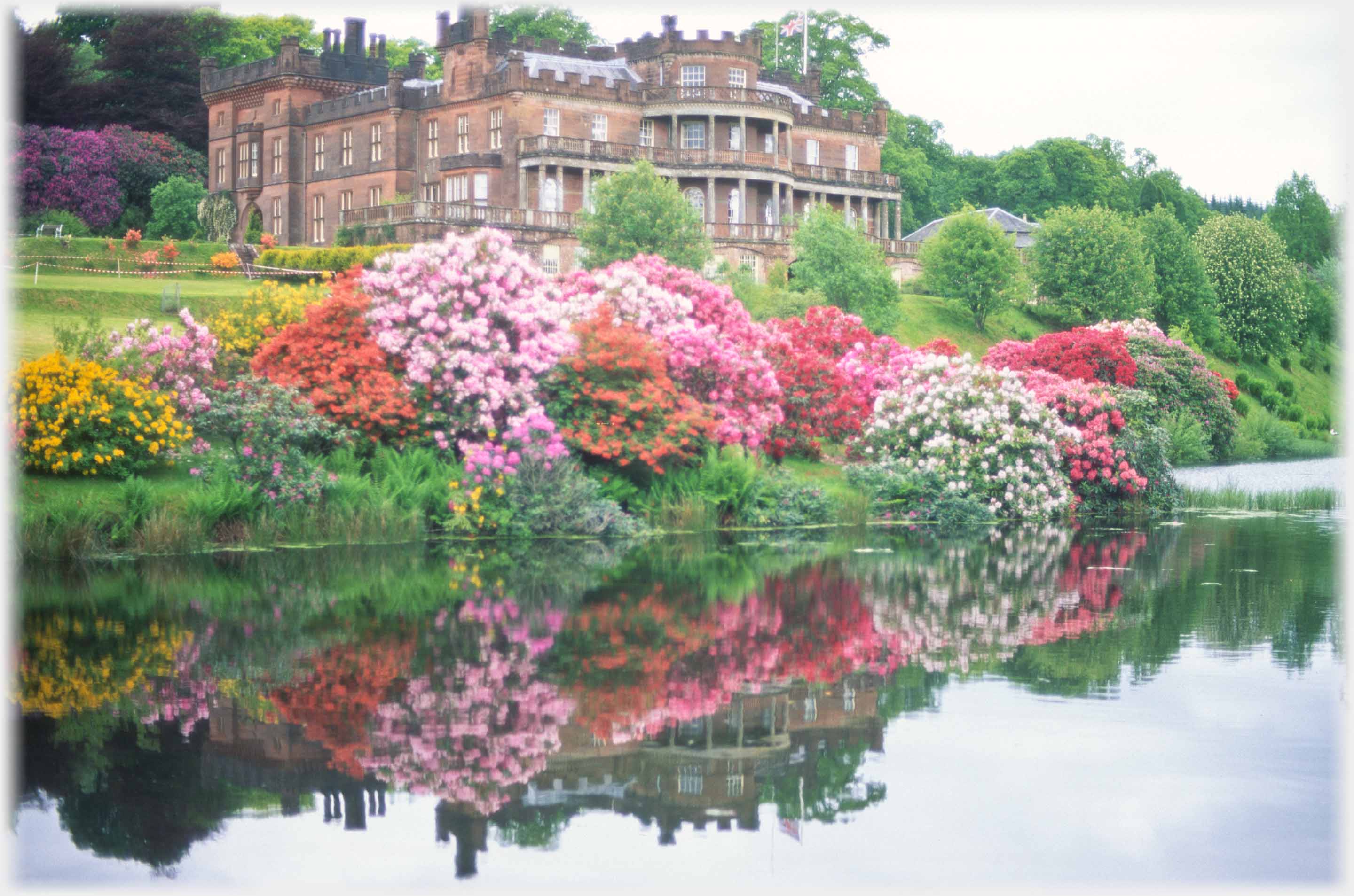 Lake bordered by rhodies, mansion behind.