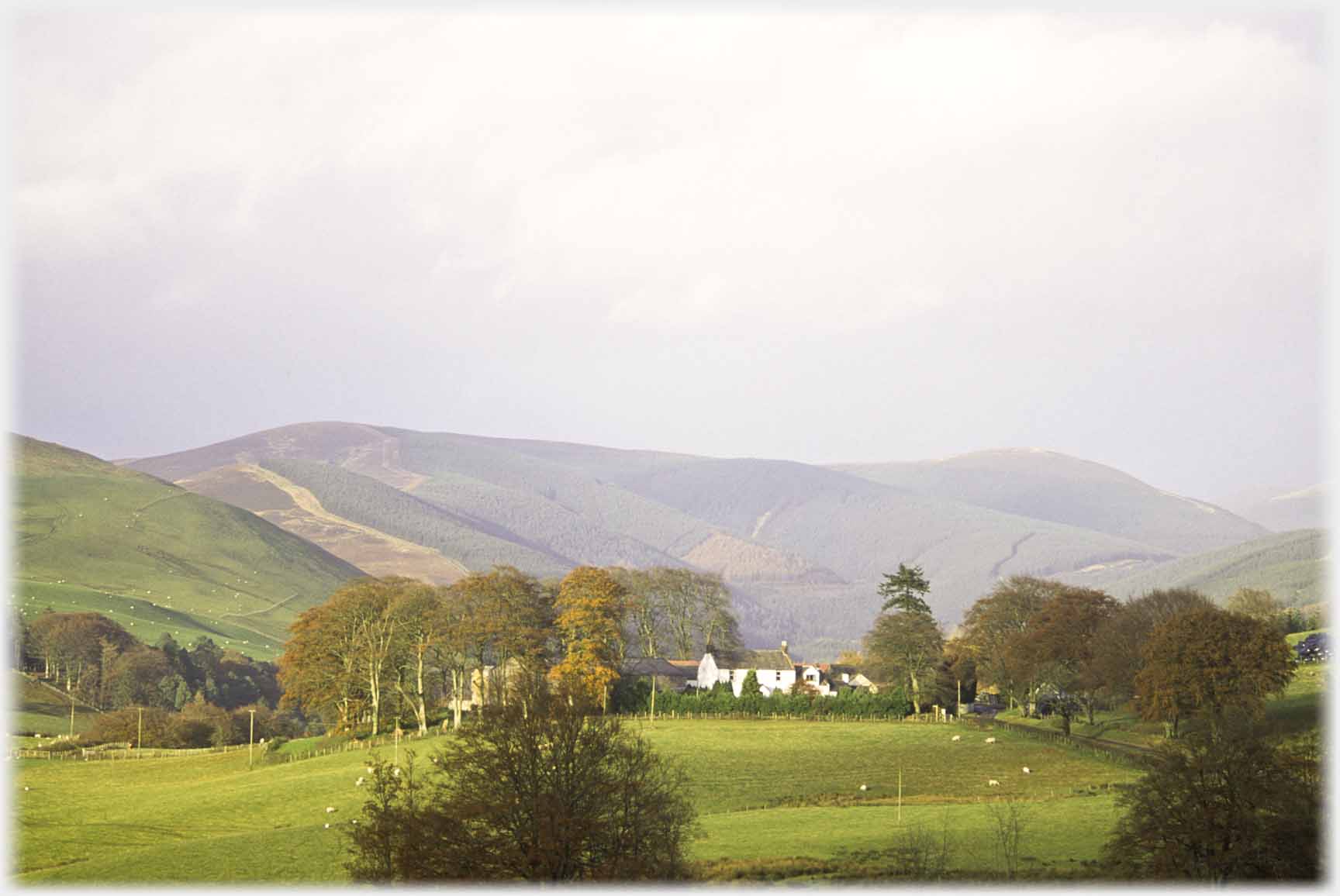 Farmhouse between trees hills beyond.