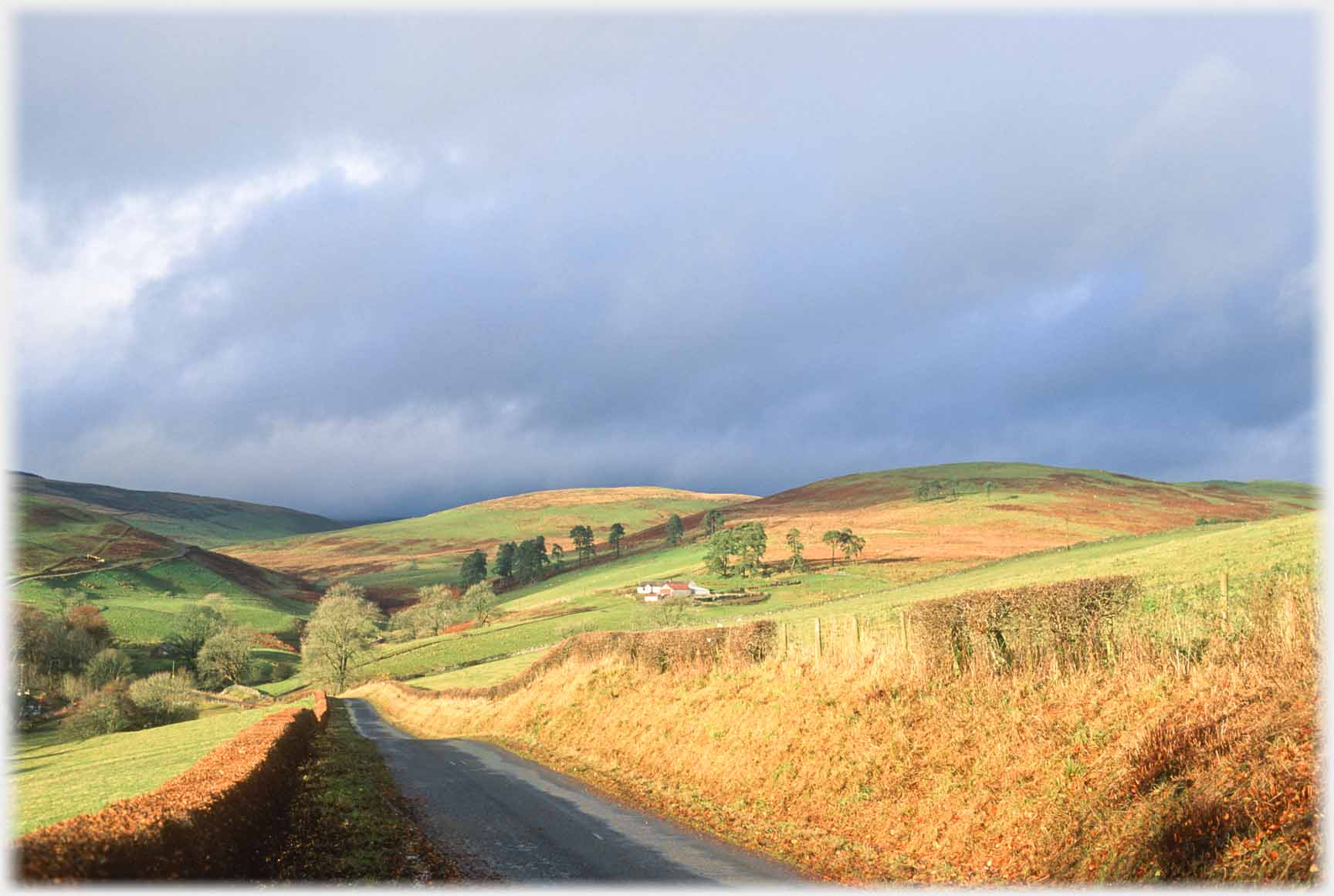 Looking down road with automnal hedges on each side, heavy grey clouds.