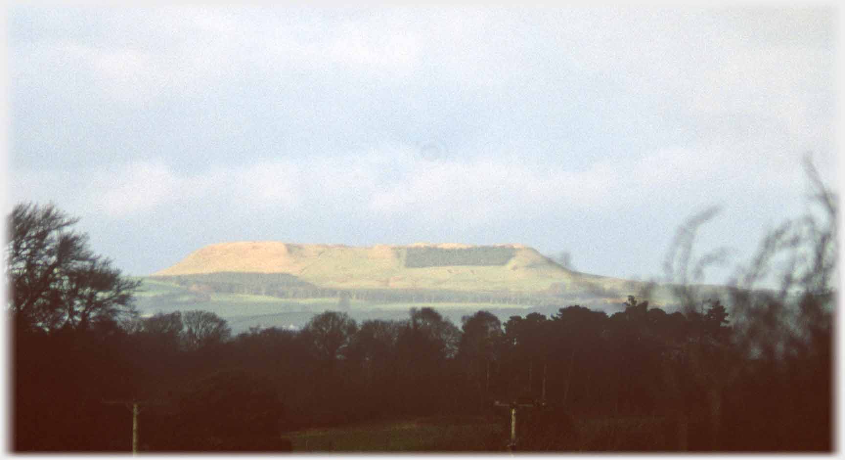 Flat topped hill with trees in foreground.
