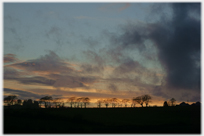 Silhouetted line of trees against sunset.