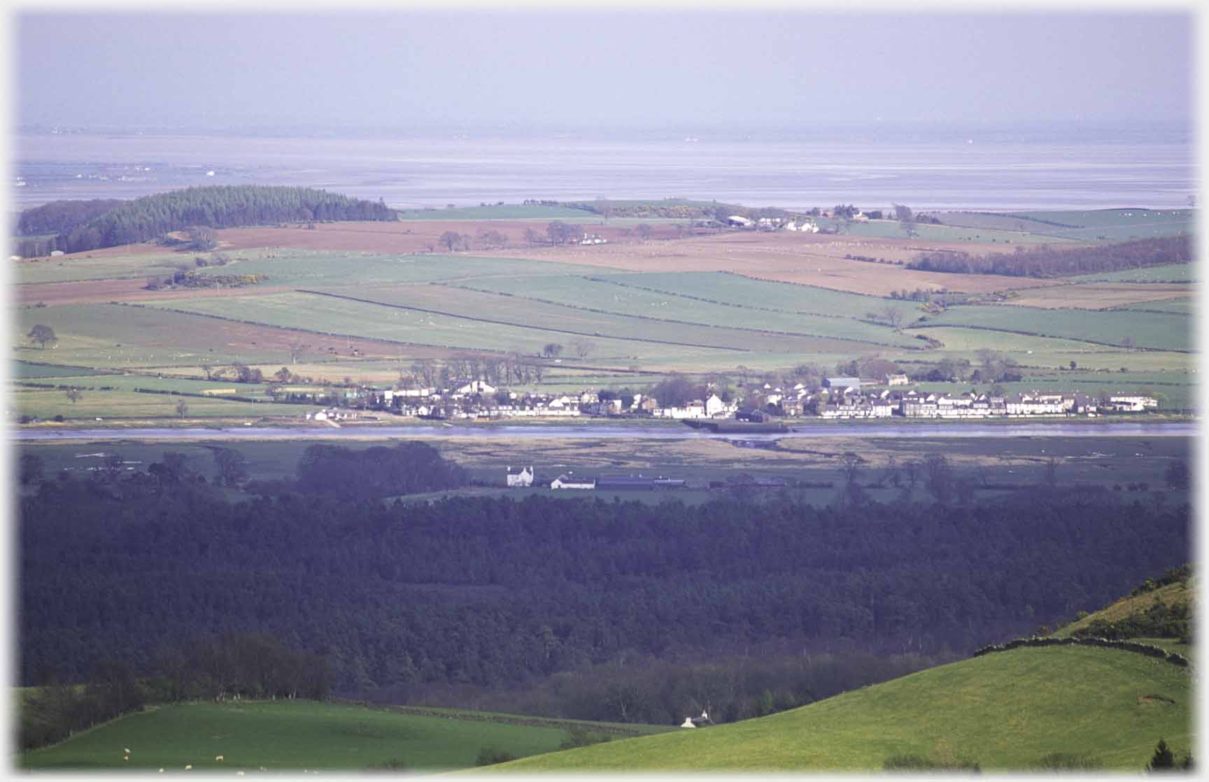 Trees in foreground, row of houses with fields beyond.