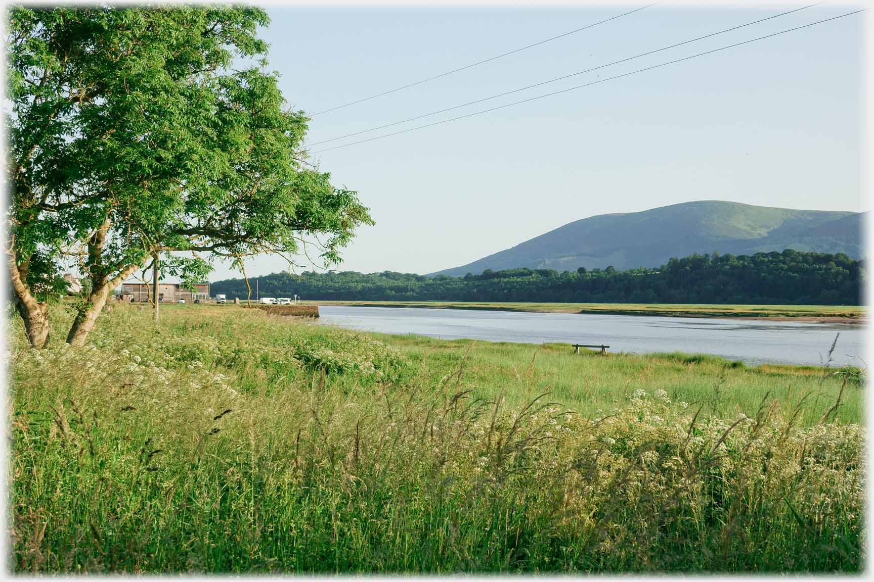 Grass with tree and hill beyond river.