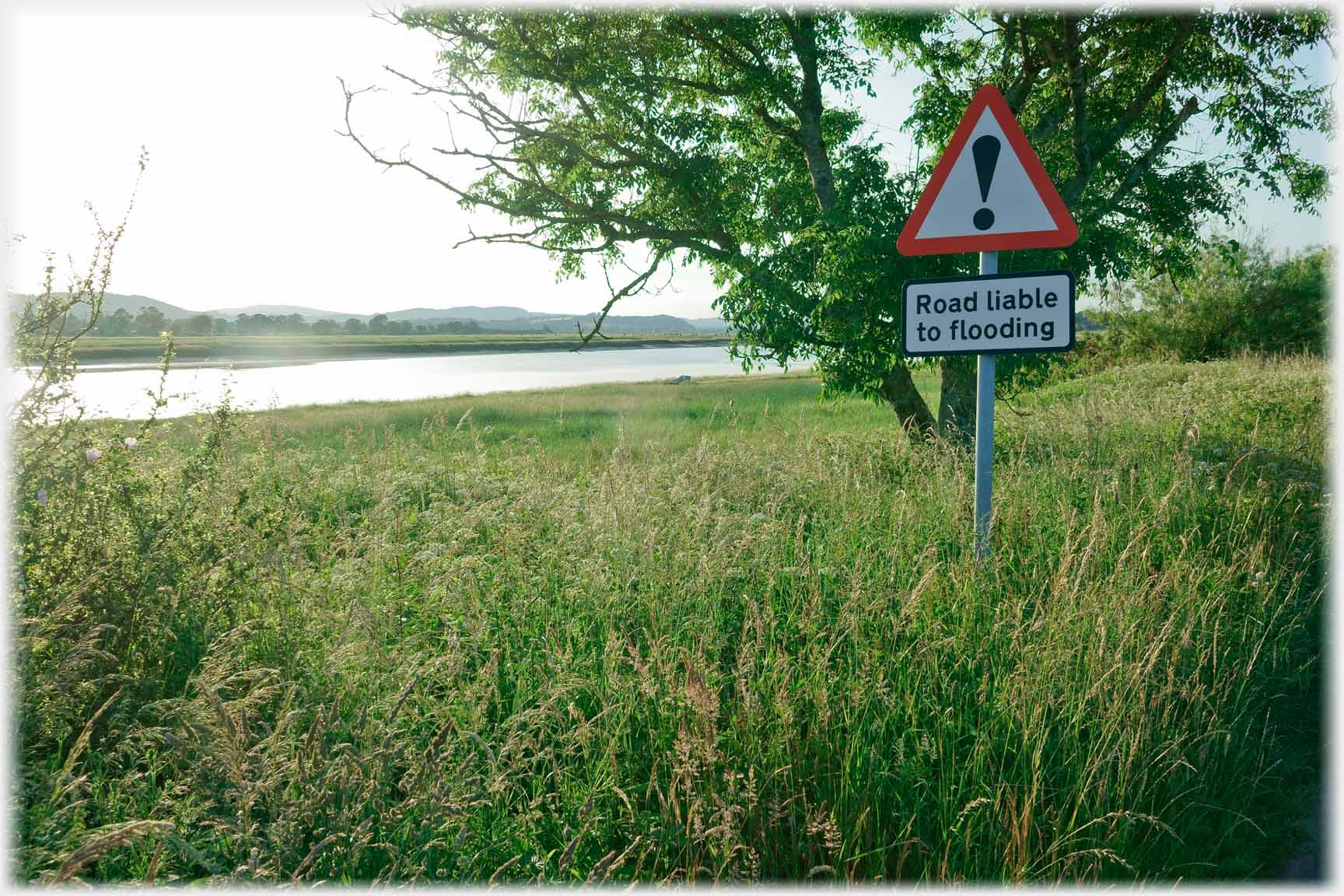 Grass by river with 'Road liable to flooding' sign.