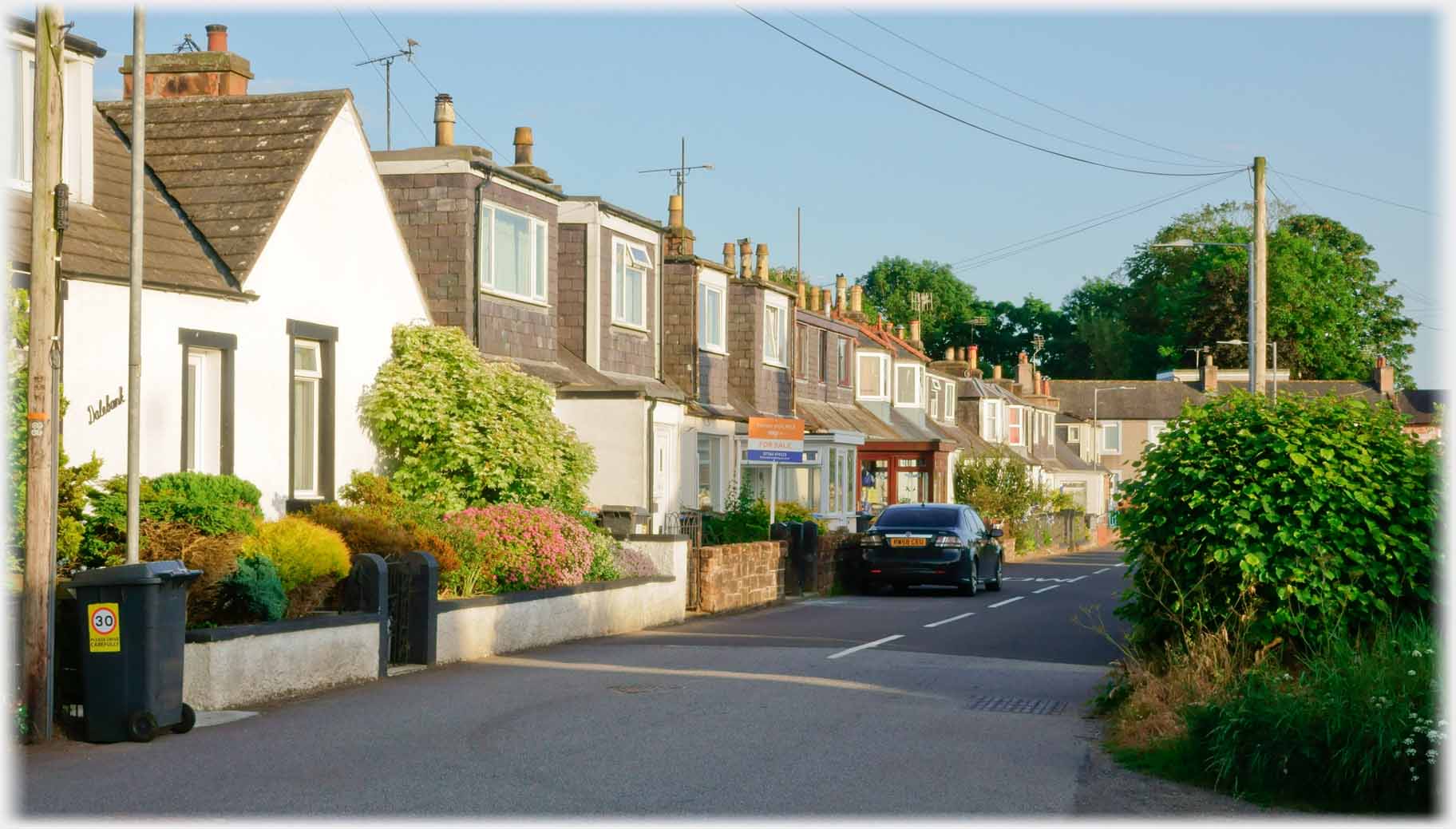 Line of cottages beside road.