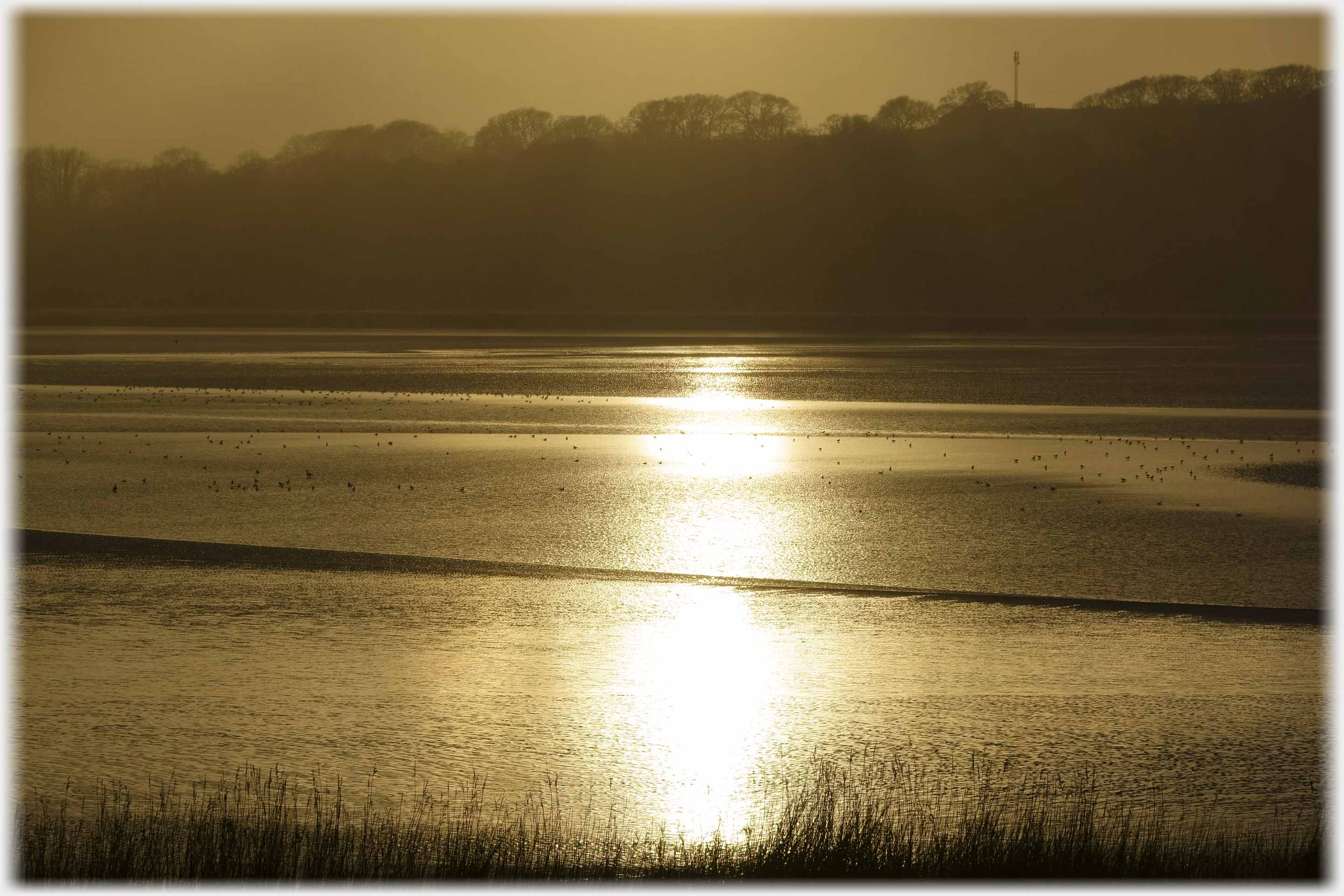 Low water with setting sun reflecting across it.
