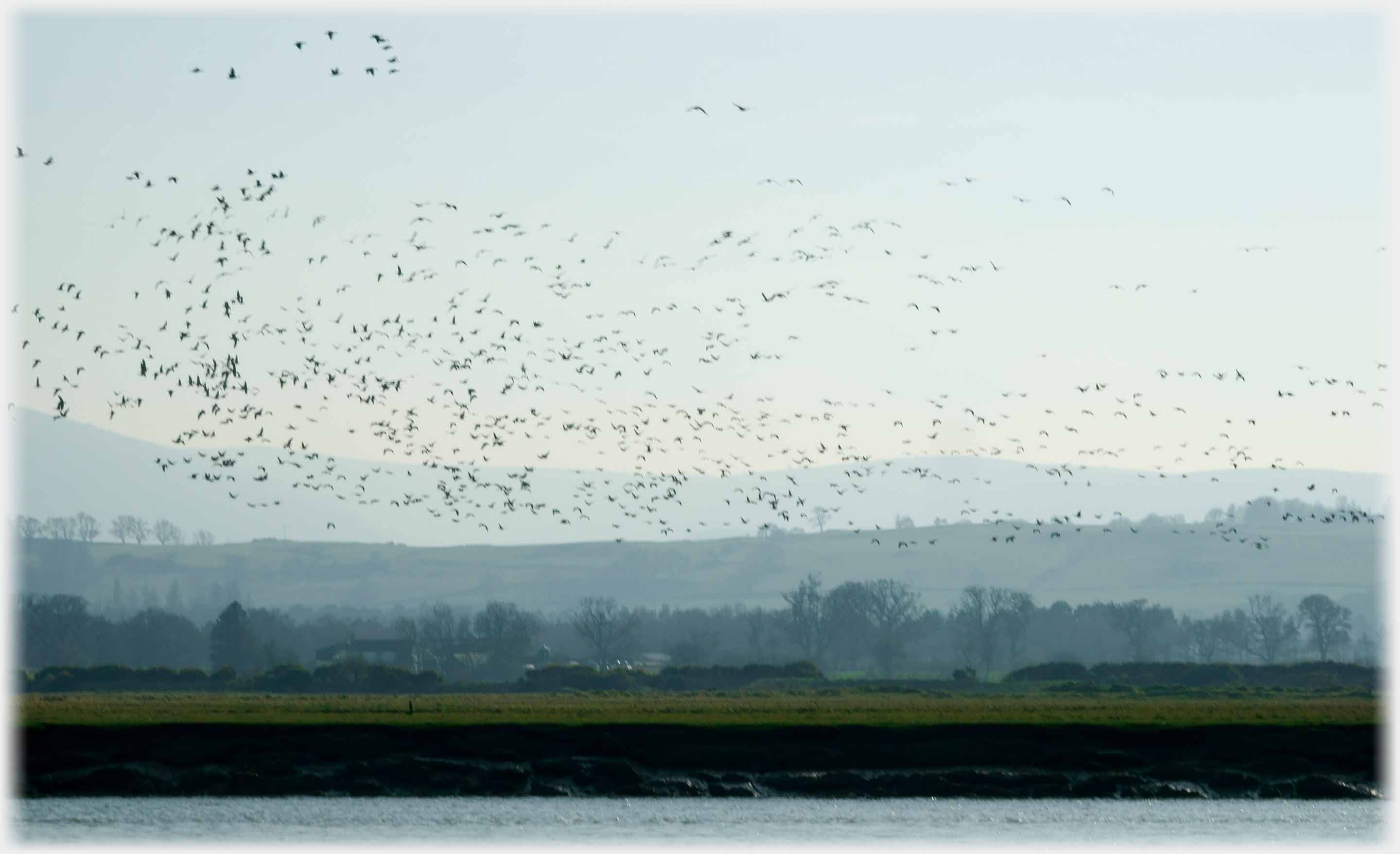 Layers of fading country with large flock of birds in sky.