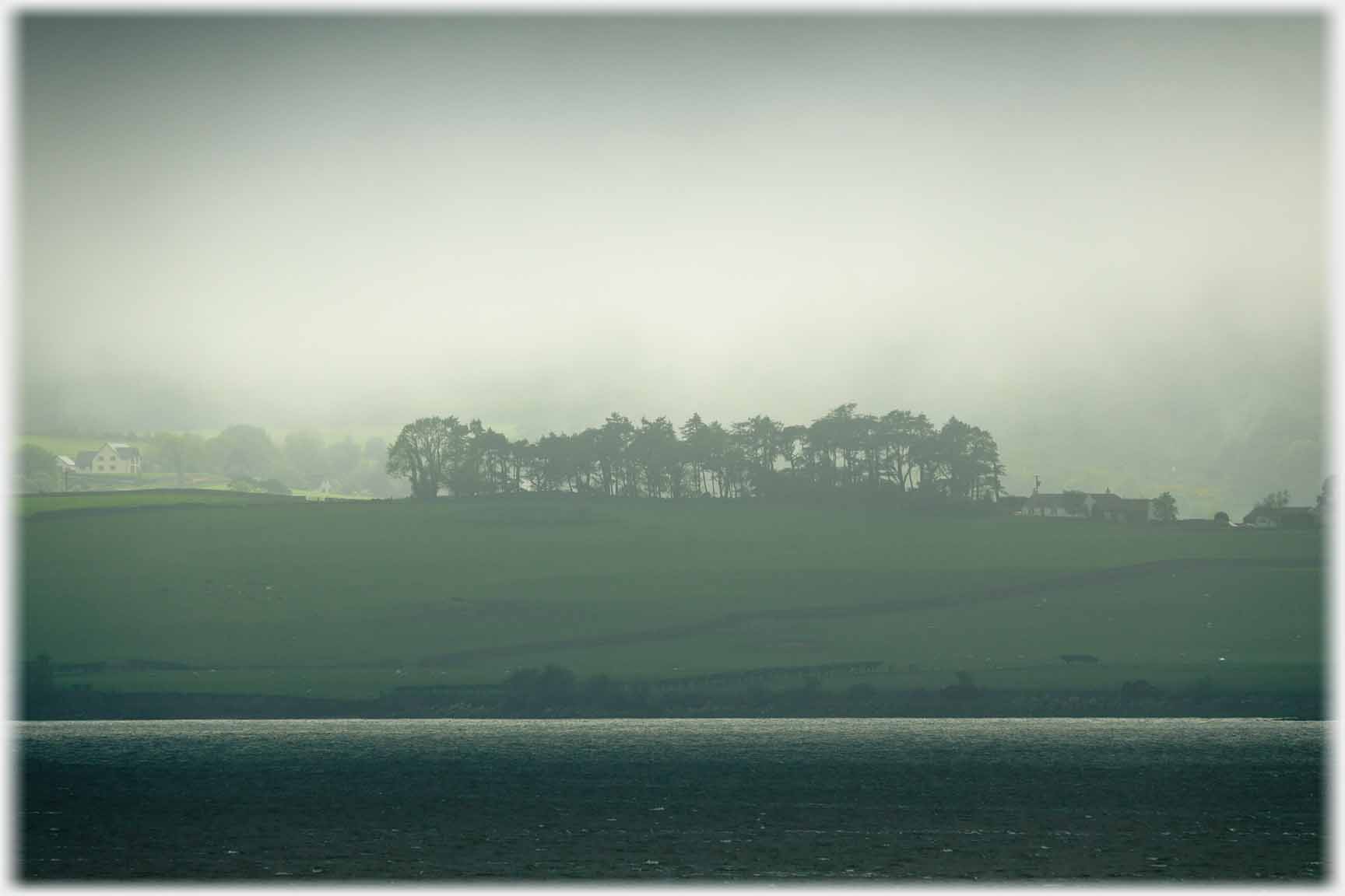Line of trees silhouetted against mist.