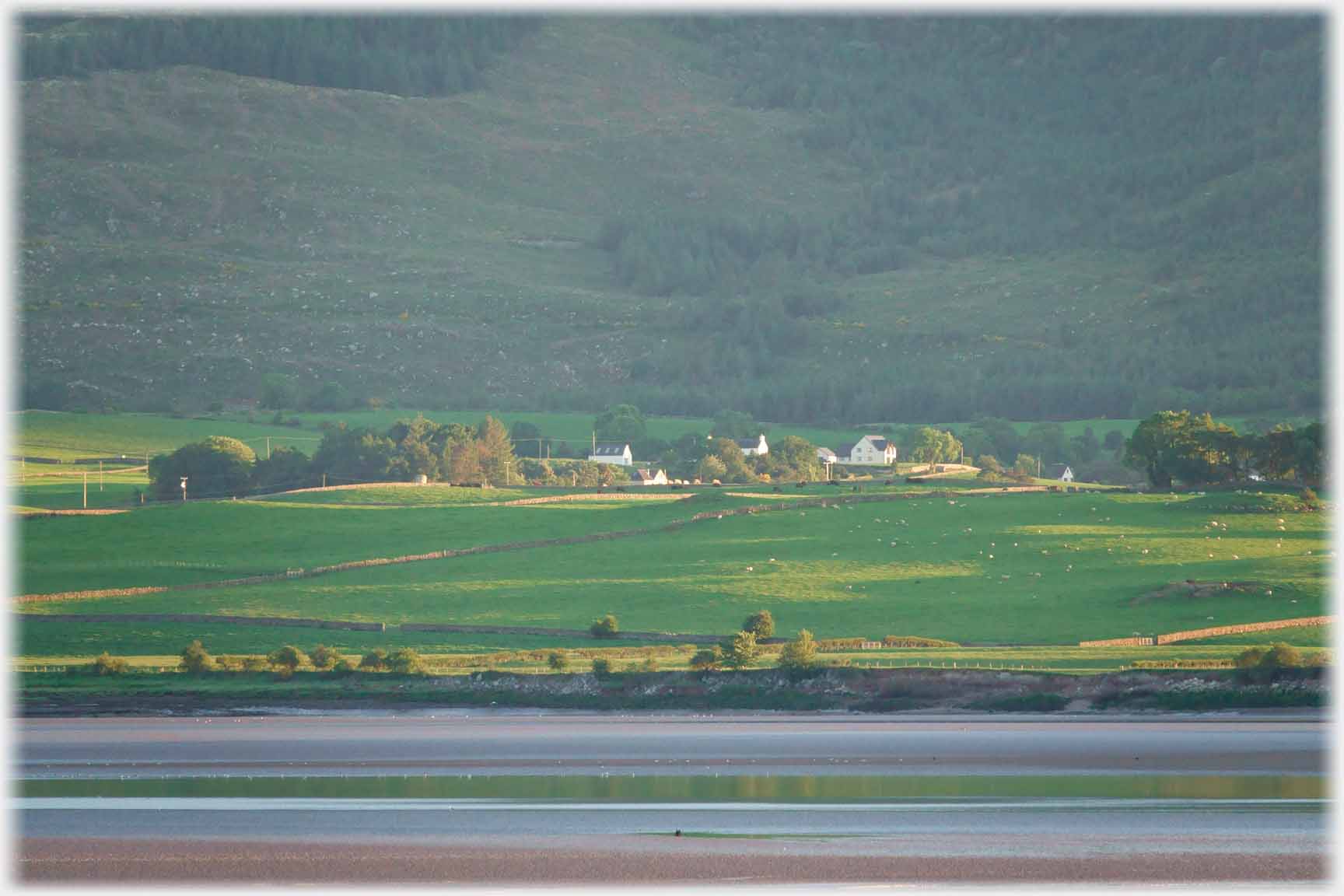 Small group of houses and trees catching low sun.